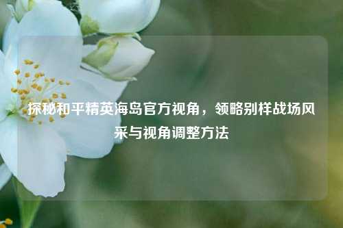 探秘和平精英海岛官方视角，领略别样战场风采与视角调整方法