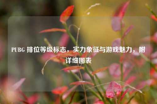 PUBG 排位等级标志，实力象征与游戏魅力，附详细图表