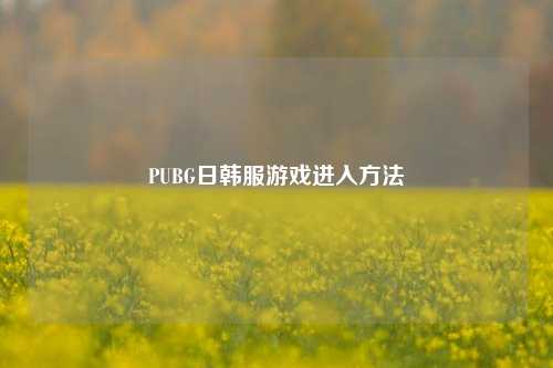 PUBG日韩服游戏进入方法