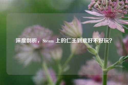 深度剖析,Steam 上的仁王到底好不好玩?