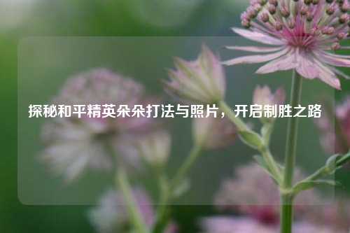 探秘和平精英朵朵打法与照片,开启制胜之路