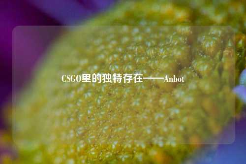 CSGO里的独特存在——Anbot