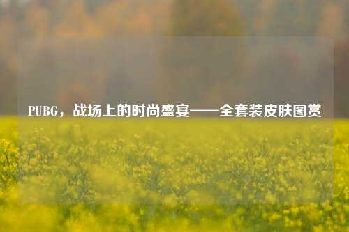 PUBG,战场上的时尚盛宴——全套装皮肤图赏