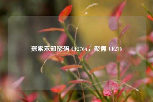探索未知密码 CF276A,聚焦 CF276