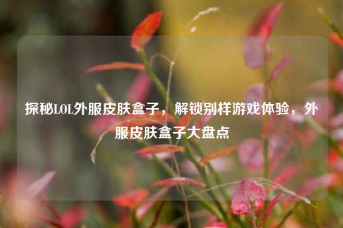 探秘LOL外服皮肤盒子，解锁别样游戏体验，外服皮肤盒子大盘点