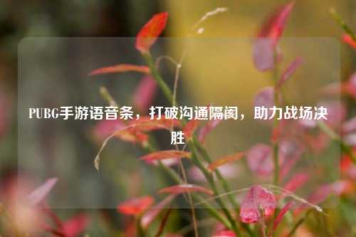 PUBG手游语音条,打破沟通隔阂,助力战场决胜