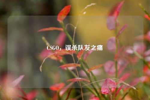 CSGO,误杀队友之痛