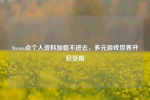 Steam点个人资料加载不进去,多元游戏世界开启受阻