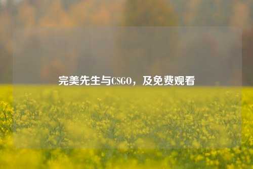 完美先生与CSGO,及免费观看