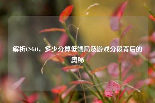 解析CSGO，多少分算低端局及游戏分段背后的奥秘