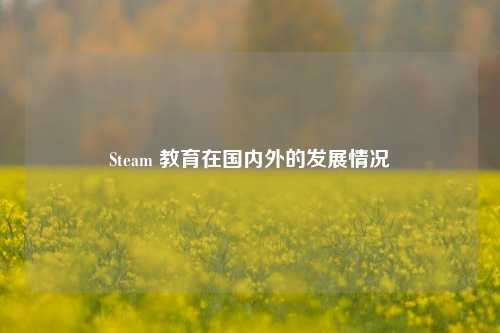 Steam 教育在国内外的发展情况