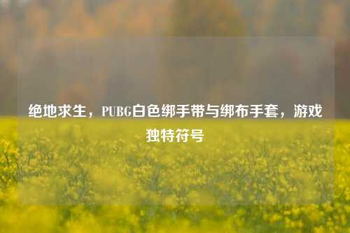 绝地求生,PUBG白色绑手带与绑布手套,游戏独特符号