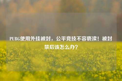 PUBG使用外挂被封，公平竞技不容亵渎！被封禁后该怎么办？
