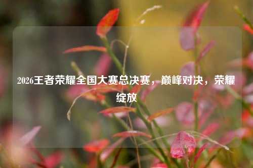 2026王者荣耀全国大赛总决赛,巅峰对决,荣耀绽放