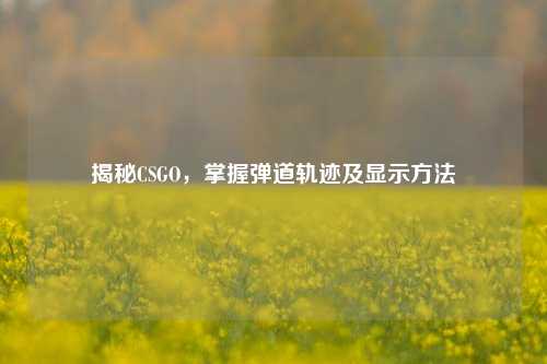 揭秘CSGO,掌握弹道轨迹及显示方法