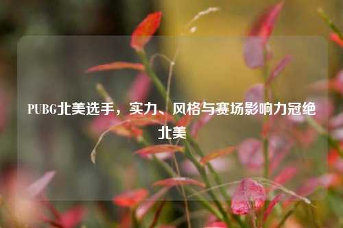 PUBG北美选手,实力、风格与赛场影响力冠绝北美