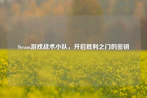 Steam游戏战术小队,开启胜利之门的密钥