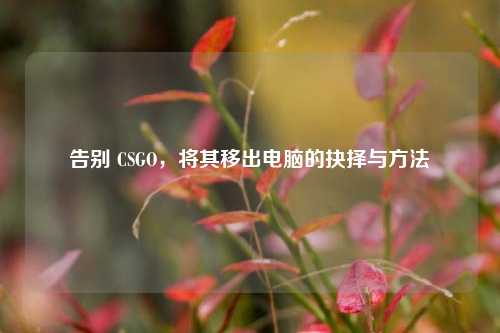 告别 CSGO,将其移出电脑的抉择与方法