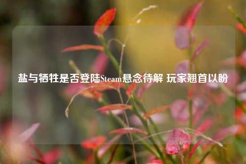 盐与牺牲是否登陆Steam悬念待解 玩家翘首以盼