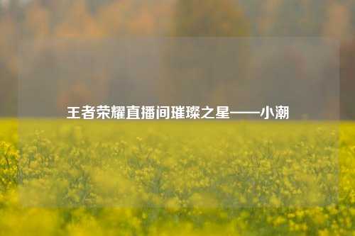 王者荣耀直播间璀璨之星——小潮