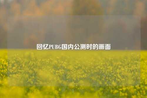 回忆PUBG国内公测时的画面