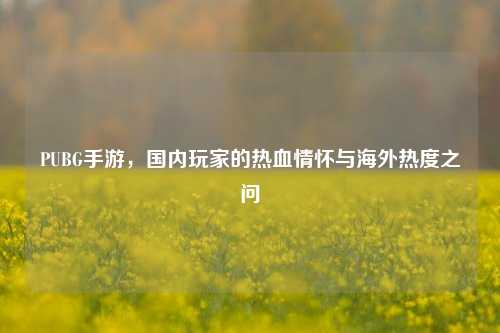 PUBG手游，国内玩家的热血情怀与海外热度之问