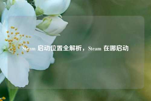 Steam 启动位置全解析,Steam 在哪启动