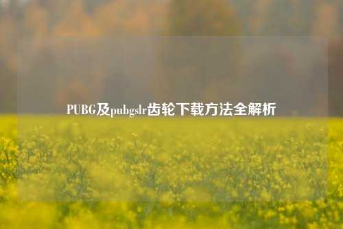 PUBG及pubgslr齿轮下载方法全解析