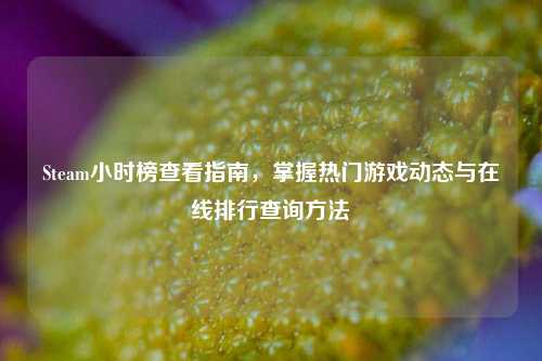Steam小时榜查看指南,掌握热门游戏动态与在线排行查询方法