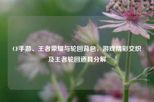 CF手游、王者荣耀与轮回背包,游戏精彩交织及王者轮回道具分解