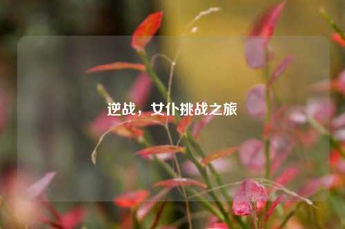 逆战,女仆挑战之旅