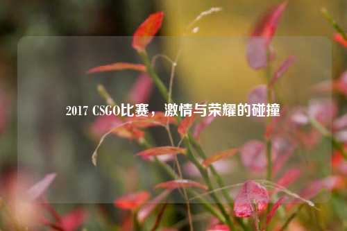 2017 CSGO比赛，激情与荣耀的碰撞