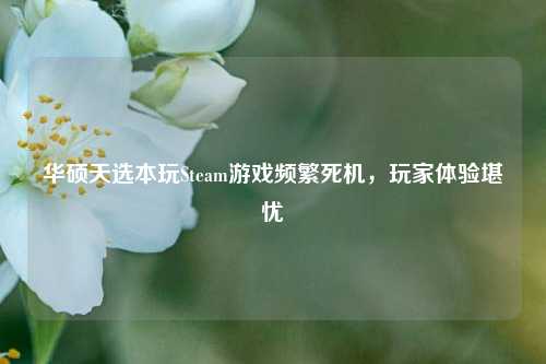 华硕天选本玩Steam游戏频繁死机,玩家体验堪忧