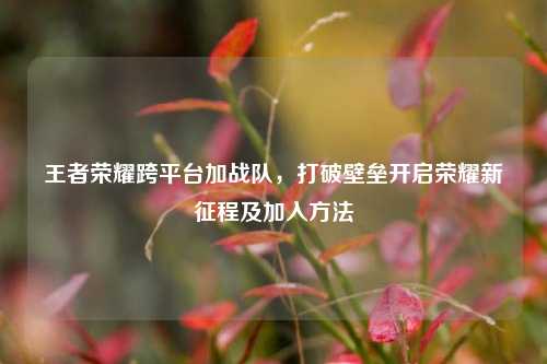王者荣耀跨平台加战队,打破壁垒开启荣耀新征程及加入方法