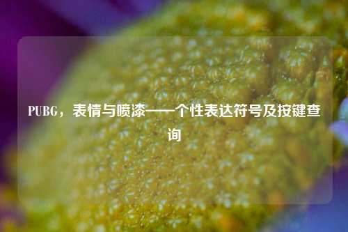 PUBG,表情与喷漆——个性表达符号及按键查询