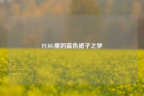 PUBG里的蓝色裙子之梦