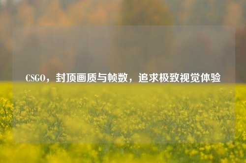 CSGO,封顶画质与帧数,追求极致视觉体验