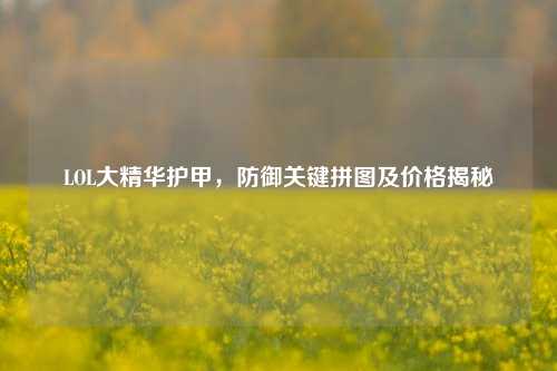 LOL大精华护甲，防御关键拼图及价格揭秘