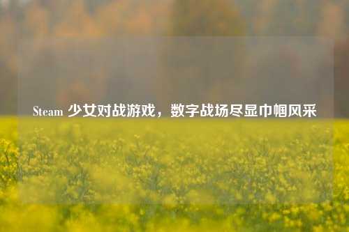 Steam 少女对战游戏,数字战场尽显巾帼风采