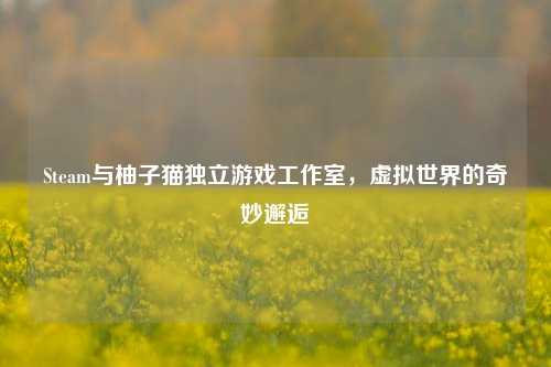 Steam与柚子猫独立游戏工作室,虚拟世界的奇妙邂逅