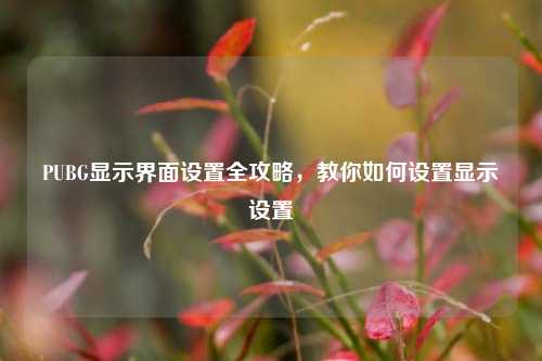PUBG显示界面设置全攻略，教你如何设置显示设置