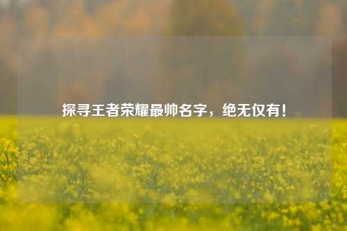 探寻王者荣耀最帅名字,绝无仅有!