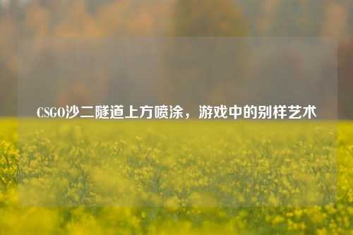 CSGO沙二隧道上方喷涂，游戏中的别样艺术