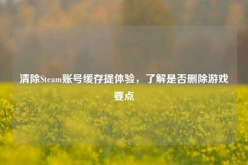 清除Steam账号缓存提体验,了解是否删除游戏要点