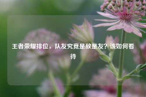 王者荣耀排位，队友究竟是敌是友？该如何看待