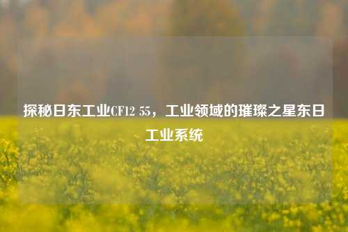 探秘日东工业CF12 55,工业领域的璀璨之星东日工业系统