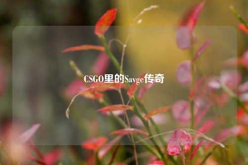 CSGO里的Savge传奇