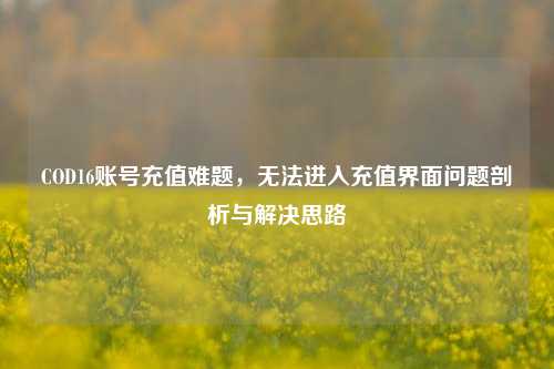 COD16账号充值难题,无法进入充值界面问题剖析与解决思路