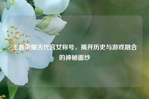 王者荣耀古代宫女称号,揭开历史与游戏融合的神秘面纱
