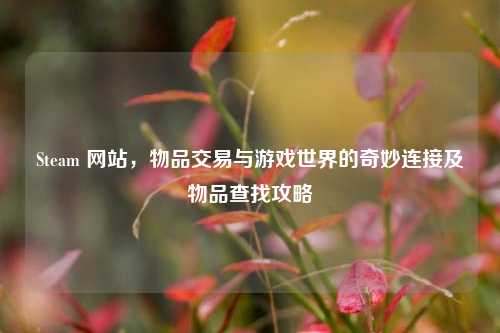 Steam 网站,物品交易与游戏世界的奇妙连接及物品查找攻略